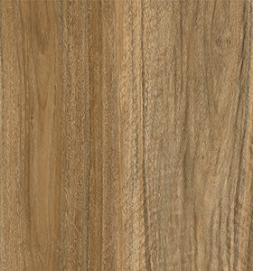 Aquila Wood