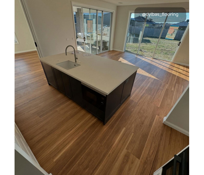 Mountain Spotted Gum