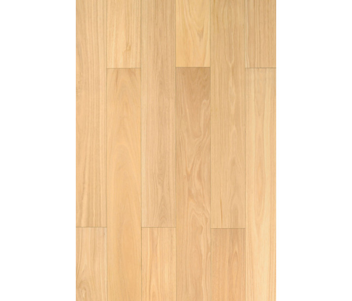 Blackbutt P&H