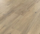 Canadian Urban Oak