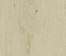 Corsica Oak