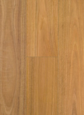 Spotted Gum P&H