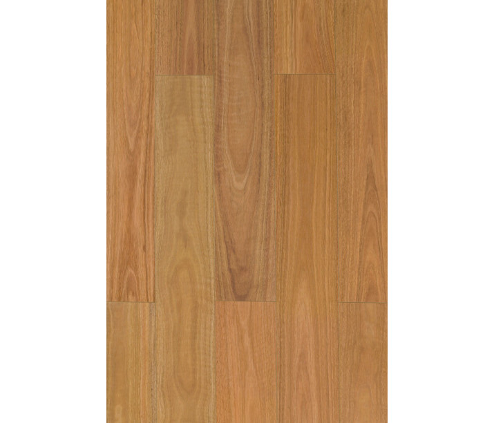 Spotted Gum P&H