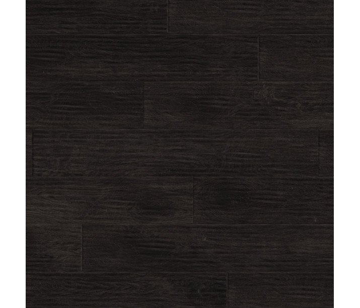 Midnight Oak
