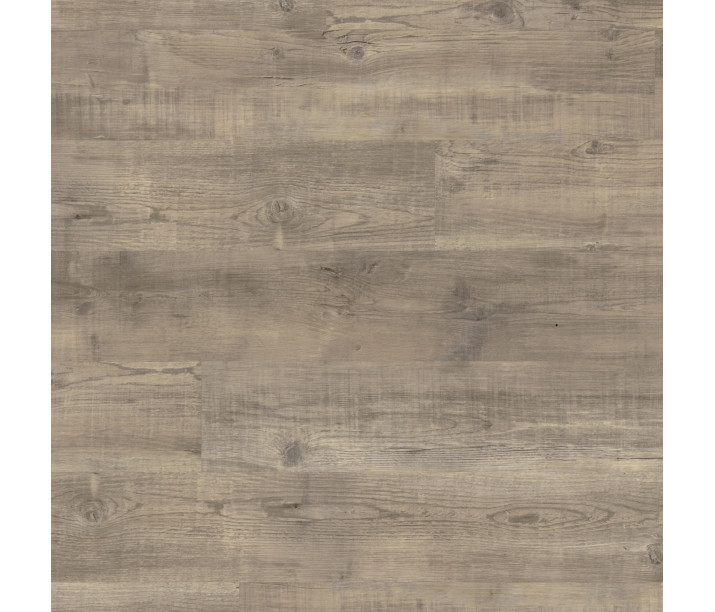 Light Worn Oak