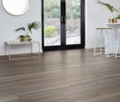 Urban Spotted Gum