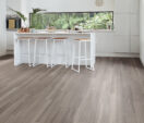 Urban Spotted Gum