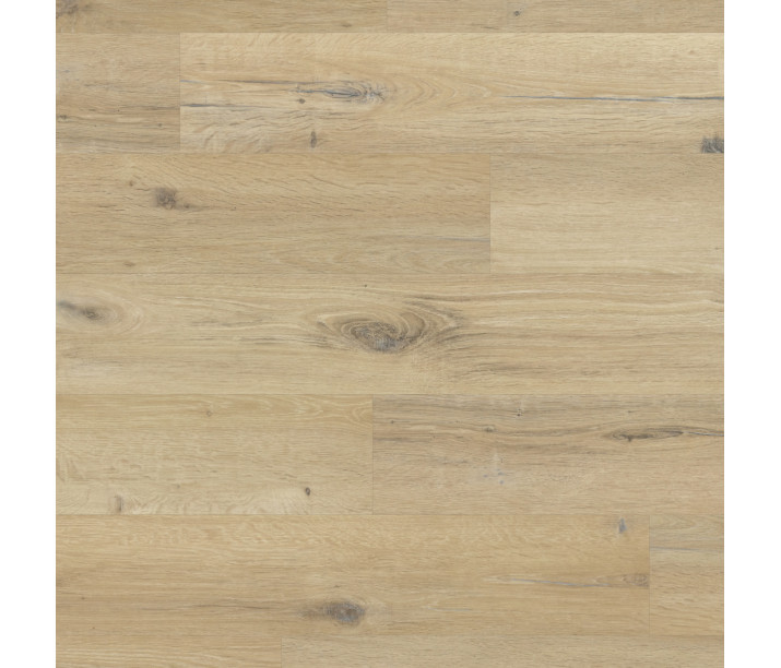 Blond Character Oak
