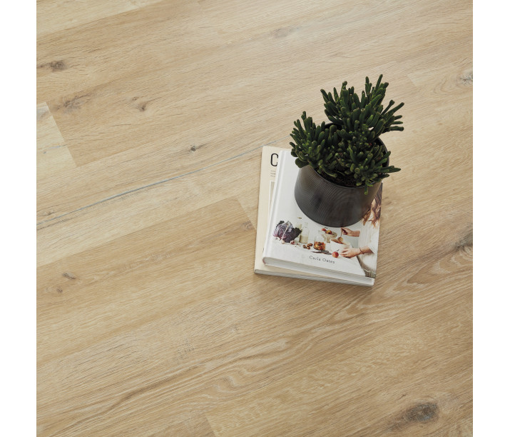 Blond Character Oak
