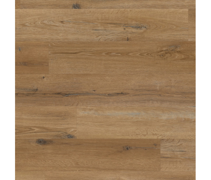 Traditional Character Oak