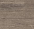 Twilight Oak
