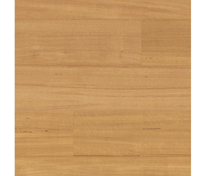 Tasmanian Oak
