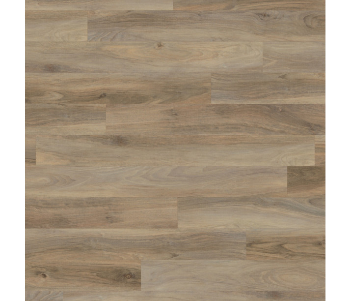 Weathered Elm