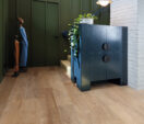 Light Barnwood