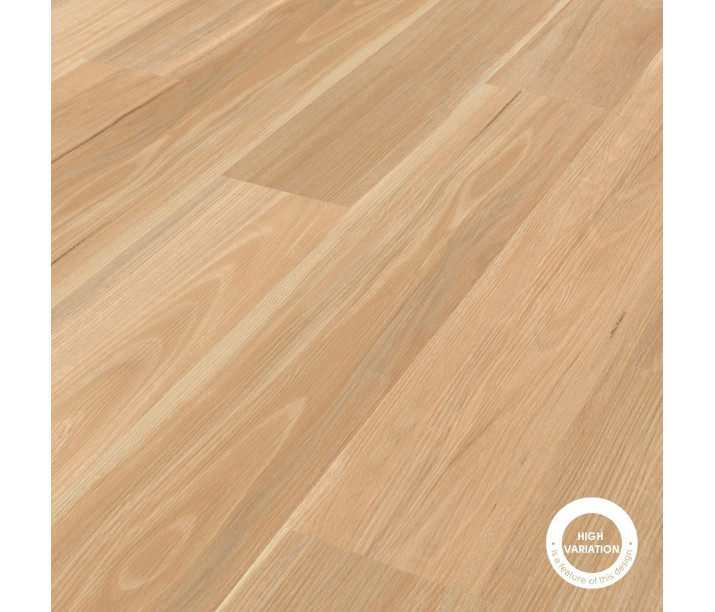 Light Spotted Gum