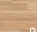 Light Spotted Gum