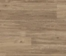 Neutral Oak