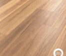 Mountain Spotted Gum