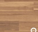 Mountain Spotted Gum