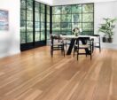 Mountain Spotted Gum