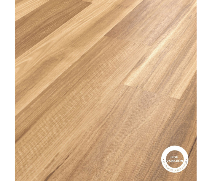 Lemon Spotted Gum