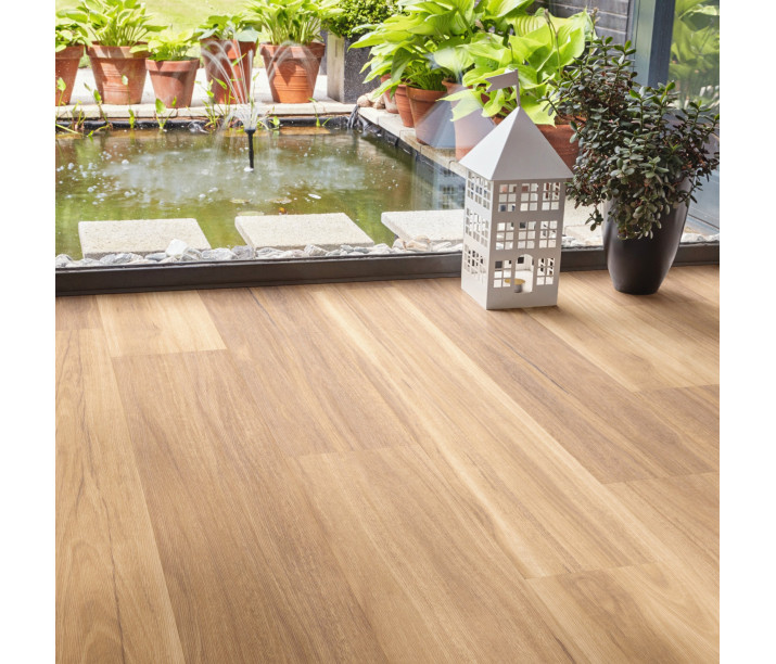 Lemon Spotted Gum