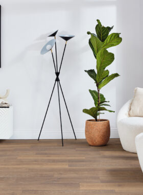 Mid Limed Oak