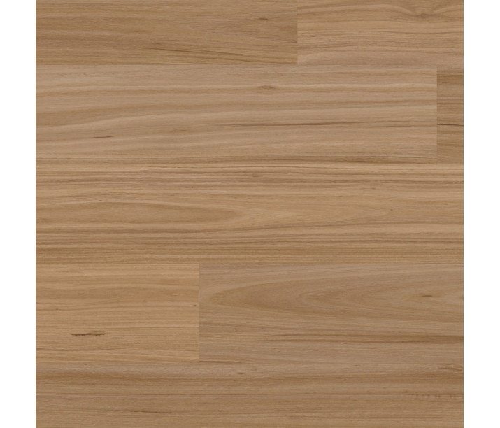 Natural Fiddleback Blackbutt