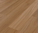 Refined Fiddleback Blackbutt