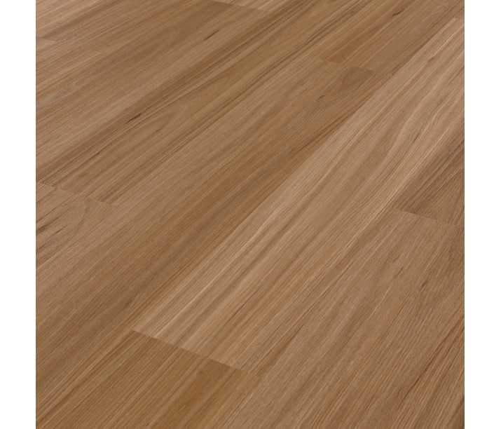Refined Fiddleback Blackbutt