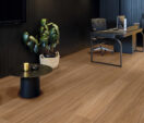 Refined Fiddleback Blackbutt