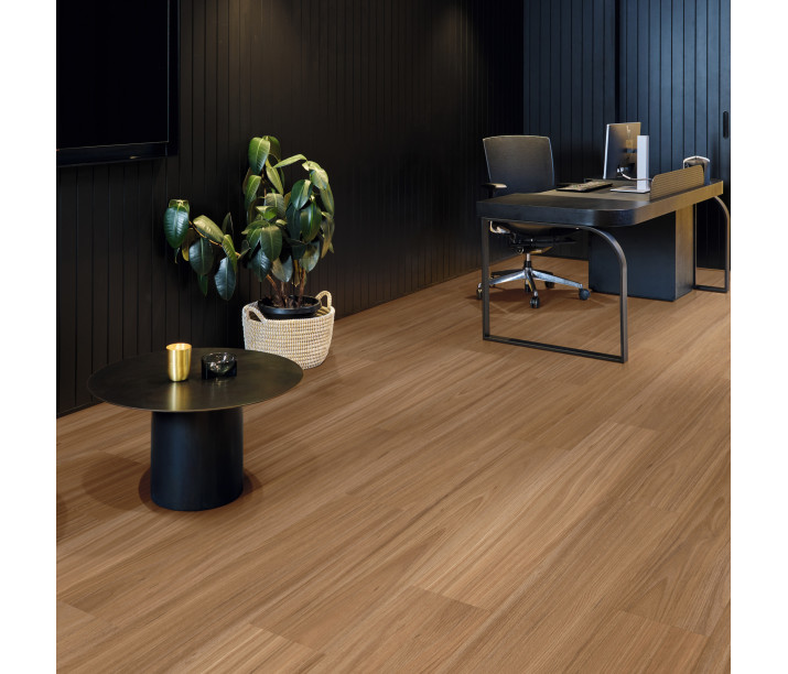 Refined Fiddleback Blackbutt