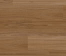 Refined Fiddleback Blackbutt
