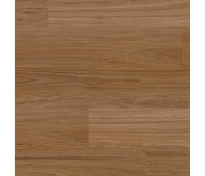 Refined Fiddleback Blackbutt
