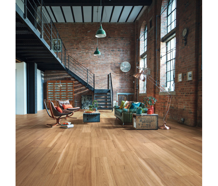 Warm Spotted Gum
