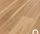 Warm Spotted Gum