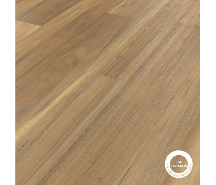 Weathered Spotted Gum