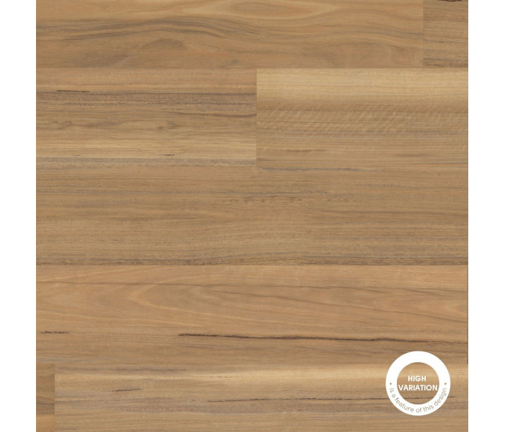 Weathered Spotted Gum