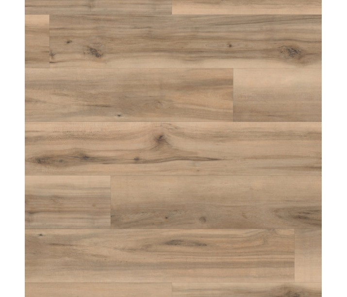 Natural Maple