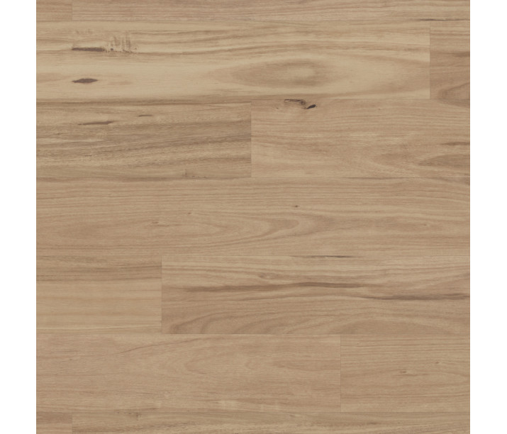Washed Blackbutt