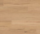 Eastern Blackbutt