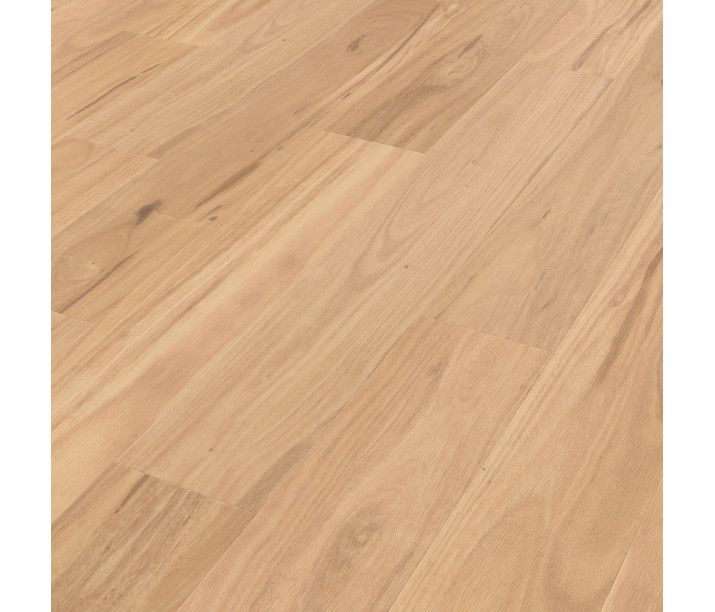 Eastern Blackbutt