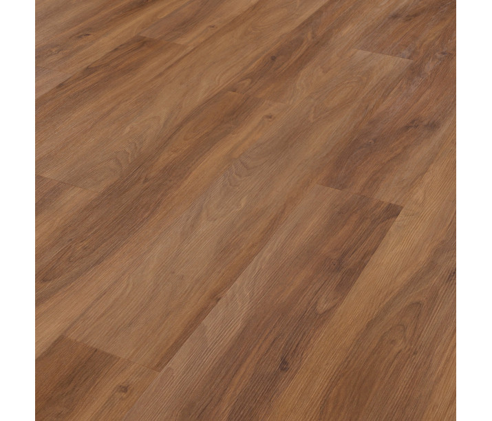 Marron Elm