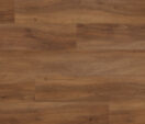 Marron Elm