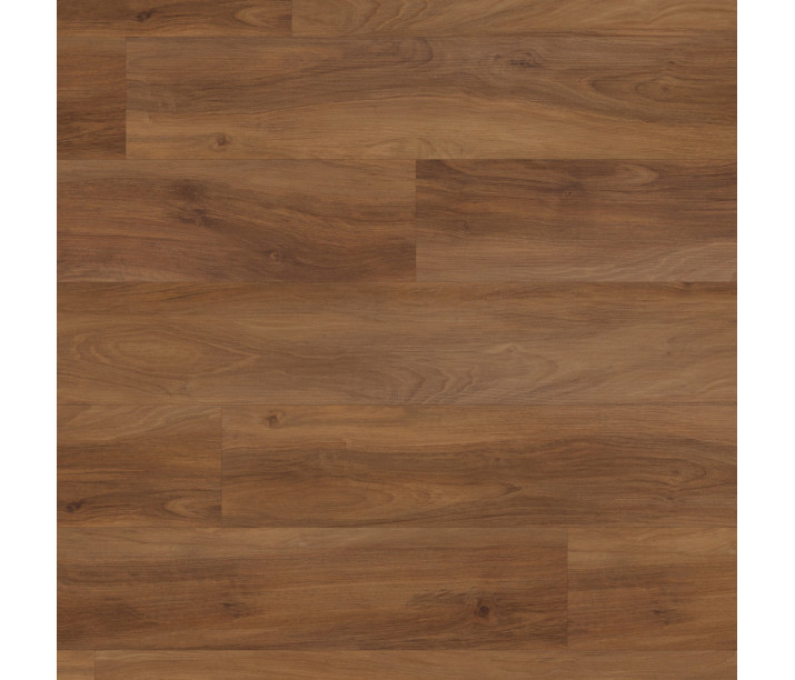 Marron Elm