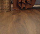 Marron Elm