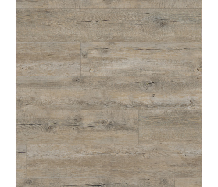 Distressed Oak
