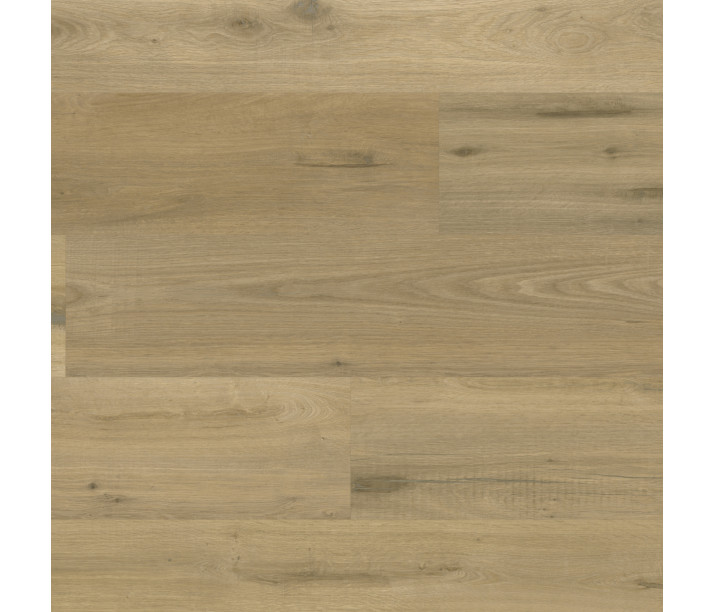 Steen Oak