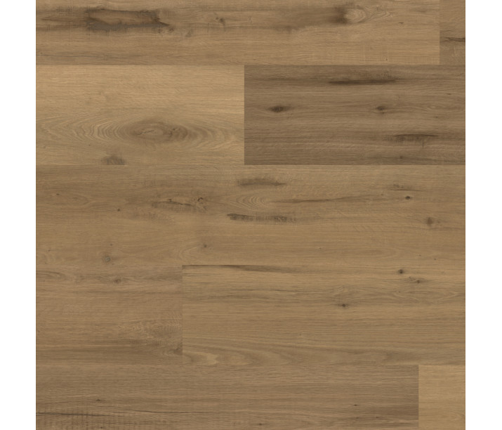 Vermeer Oak