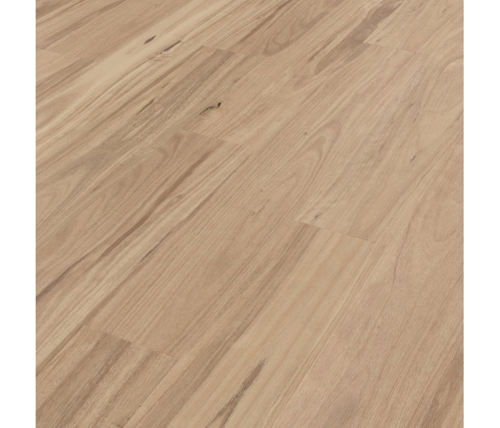 Washed Blackbutt